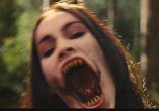 腾达会体育app网官网 Flash Videoのサポートが大きな意味を持つことを強調