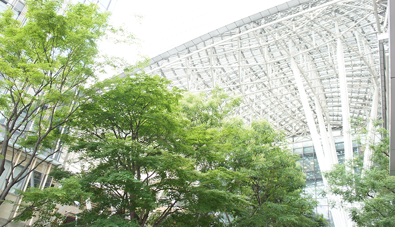 澳门金沙网络娱乐场 Xiao Yao がすべての写真と証拠を削除するまで待ちます